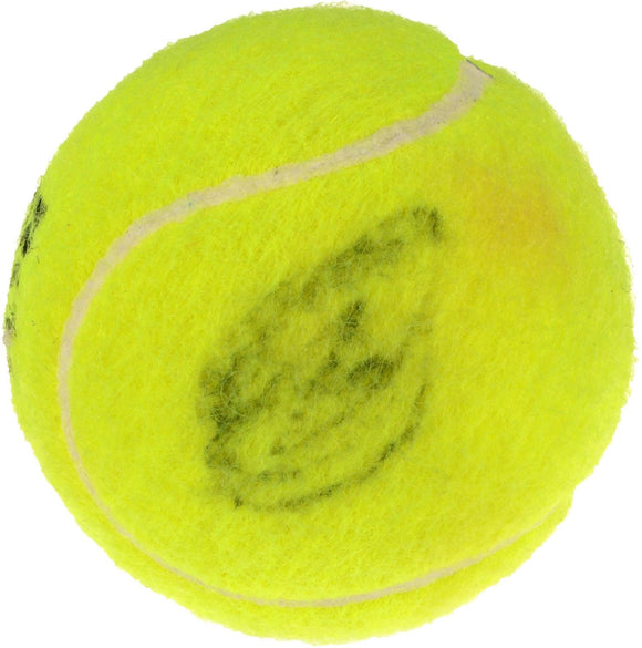 Novak Djokovic Signed Autographed Yellow Tennis Ball (Fanatics COA)