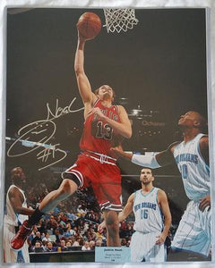 Joakim Noah Signed Autographed Glossy 16x20 Photo Chicago Bulls (SA COA)
