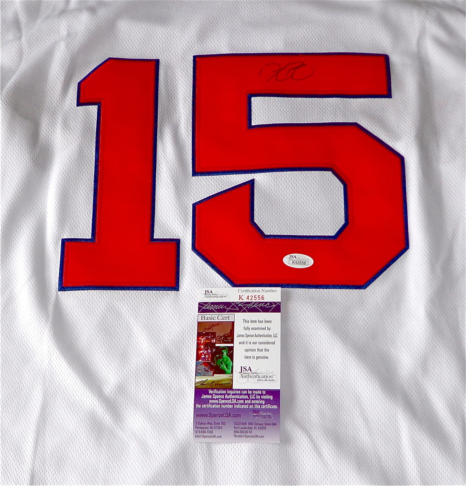 Dustin Pedroia Signed Autographed Boston Red Sox Baseball Jersey (JSA –  Sterling Autographs