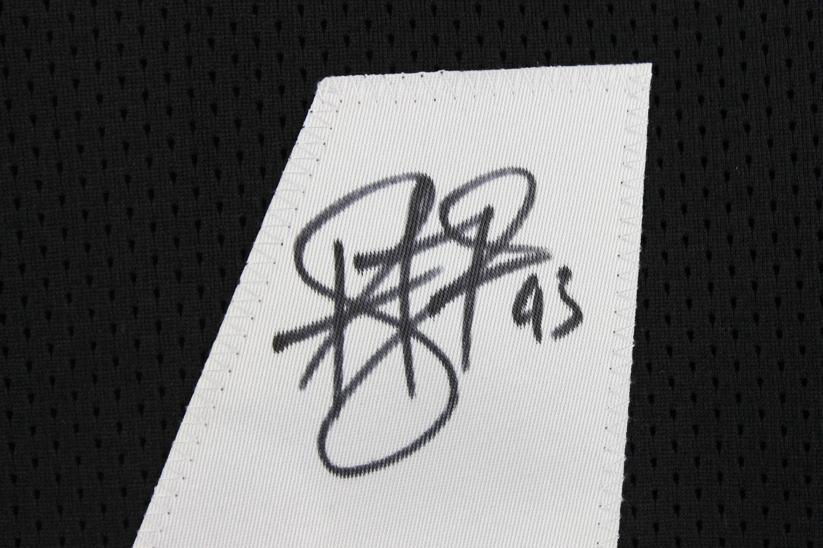 Troy Polamalu Signed Jersey (JSA)